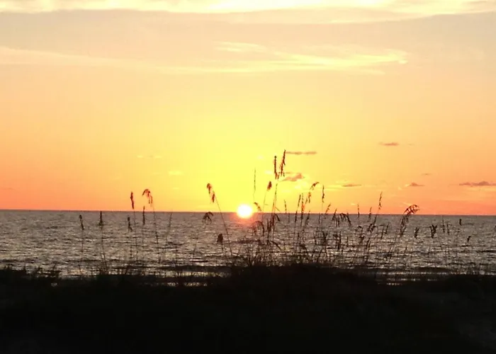 Pelican #6 * Clearwater Beach